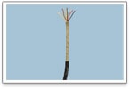 Atrial Catheterization Cable for the Medical Industry